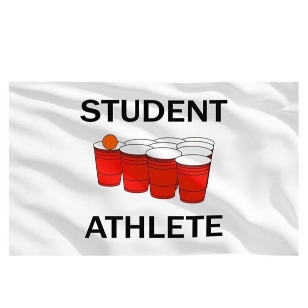 Student Athlete Beer Pong Funny College Student Flag White Dorm 5'x3' Tapestry - Picture 2 of 7